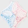 Clothing * | Stripe And Stare 'Rose Carousel Knicker Box'