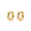 Accessories * | Anni Lu 'Gem In A Hoop 22' Earrings New In